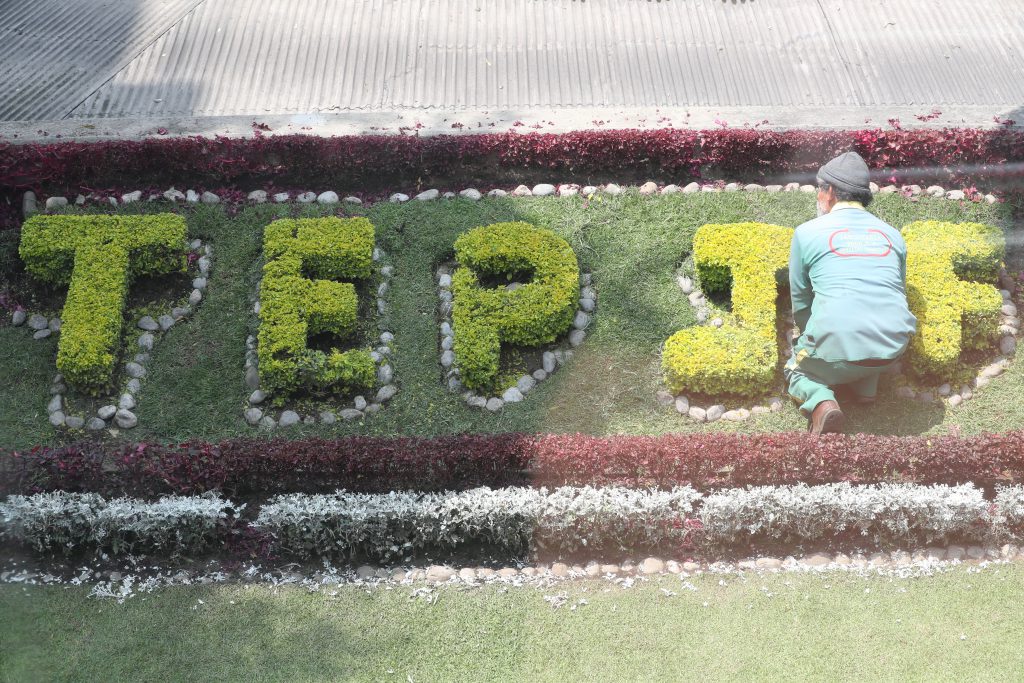 Jardinero podando letras TEPJF